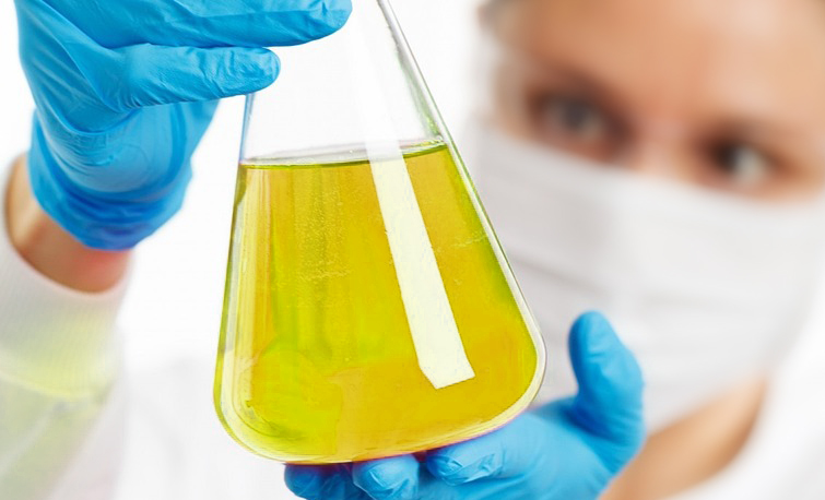 lab tech inspects oil in an Erlenmeyer flask