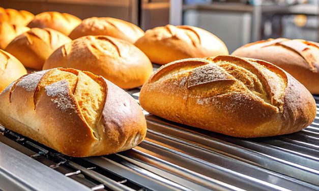 The Ultimate Guide to Food-grade Lubricants